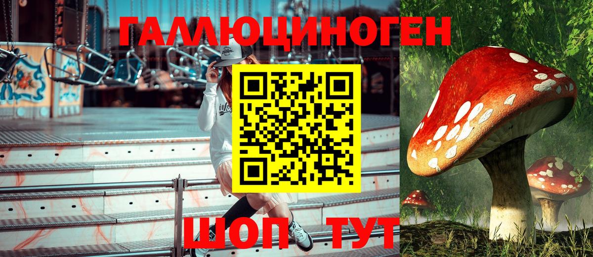Галлюциногенные грибы ЛСД Избербаш