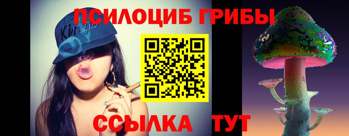 Избербаш  Псилоцибиновые грибы Psilocybe  Вход с VPN 